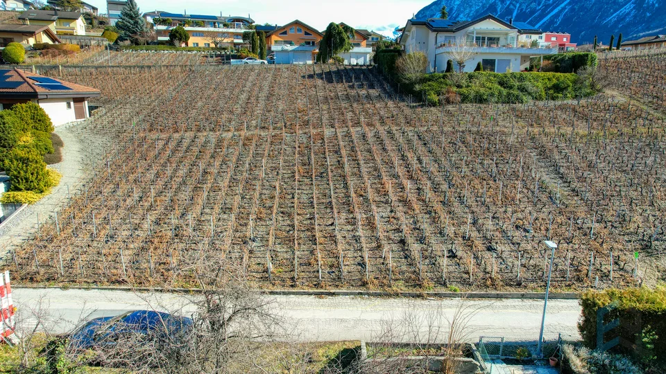 EXCLUSIVITE Splendide terrain à bâtir de 804m² à Miège (Noble-Contrée)