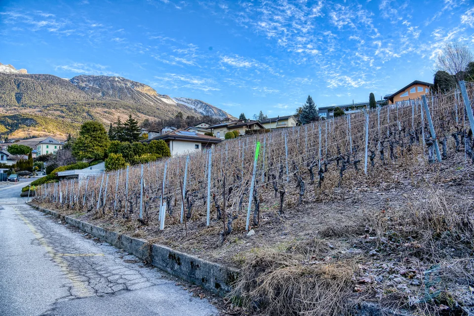 EXCLUSIVITE Splendide terrain à bâtir de 804m² à Miège (Noble-Contrée) – photo 8 sur 8