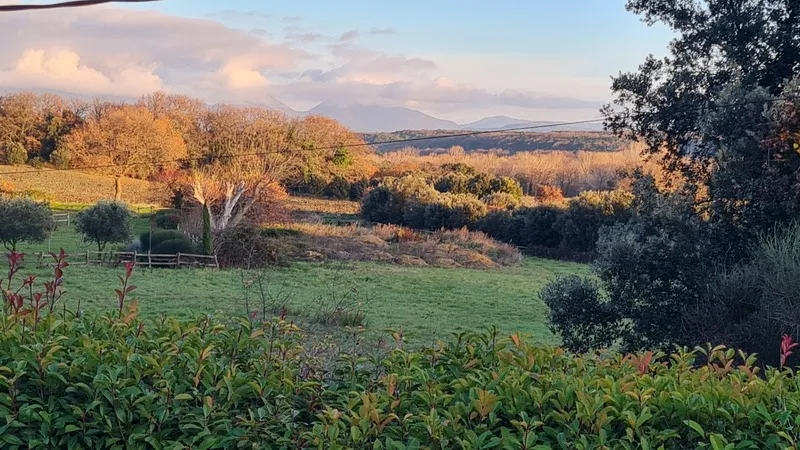 Haus umgeben von einem Garten in GRIGNAN (26) – Foto 6 von 13