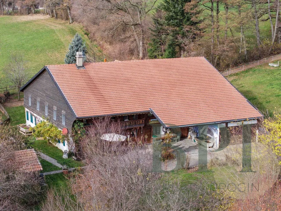 Ferme Ancienne d'Exception à Romanens en Gruyère