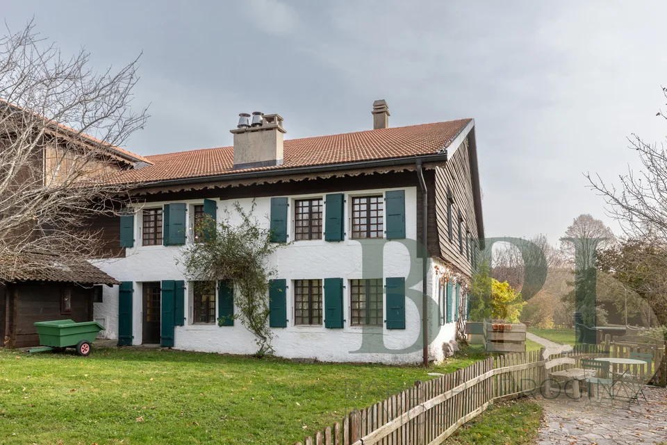 Alte Ausnahme-Ferme in Romanens im Gruyère – Foto 10 von 21