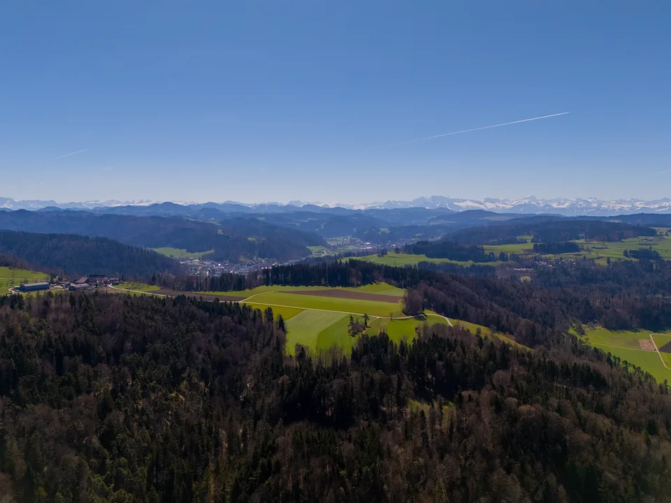 JOYAU DE LA NATURE : 3'903 m² de prairie avec 1 maison approuvée & petit étable pour animaux, 100% autonome, clairière naturelle de bois – photo 28 sur 29
