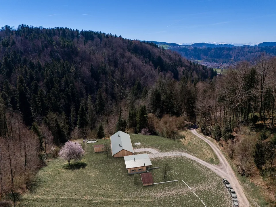 NATURAL JEWEL: 3,903 m² meadow with 1 approved house & small animal barn, 100% self-sufficient, natural woodland clearing