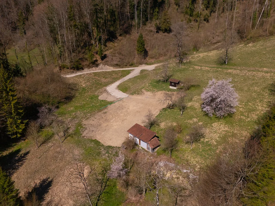 JOYAU DE LA NATURE : 3'903 m² de prairie avec 1 maison approuvée & petit étable pour animaux, 100% autonome, clairière naturelle de bois – photo 21 sur 29