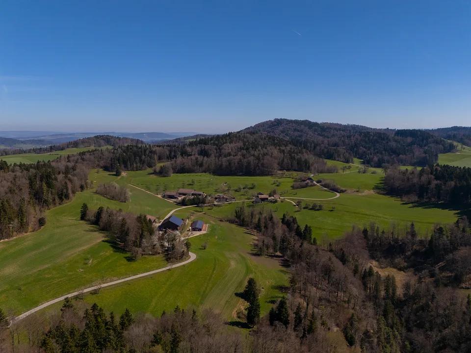 JOYAU DE LA NATURE : 3'903 m² de prairie avec 1 maison approuvée & petit étable pour animaux, 100% autonome, clairière naturelle de bois – photo 27 sur 29