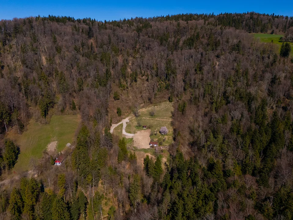 JOYAU DE LA NATURE : 3'903 m² de prairie avec 1 maison approuvée & petit étable pour animaux, 100% autonome, clairière naturelle de bois – photo 26 sur 29