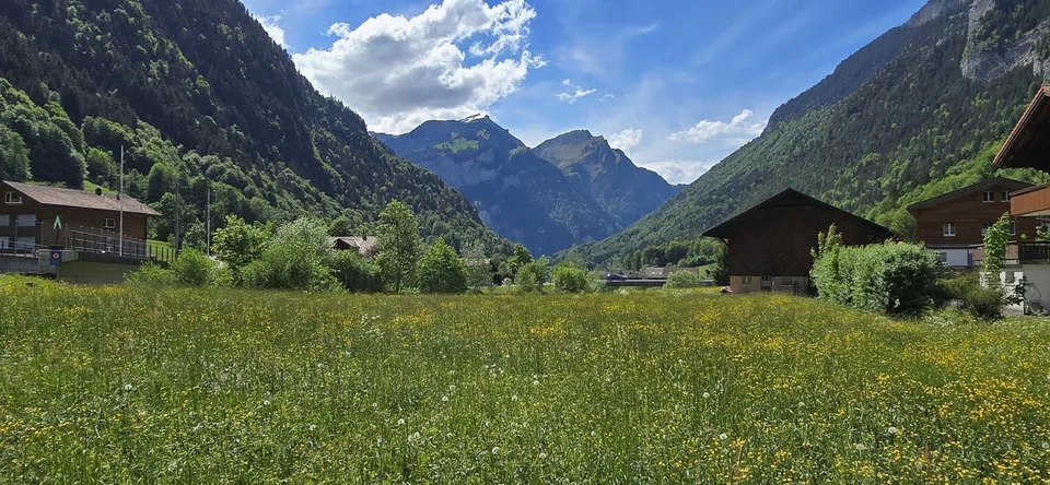 Investing where others dream - Your Airbnb jewel in the Bernese Oberland