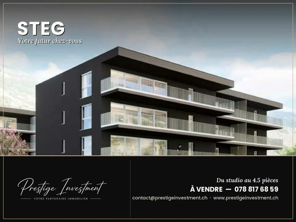 Nouvelle Promotion à Steg, Valais dès CHF 158'000.--