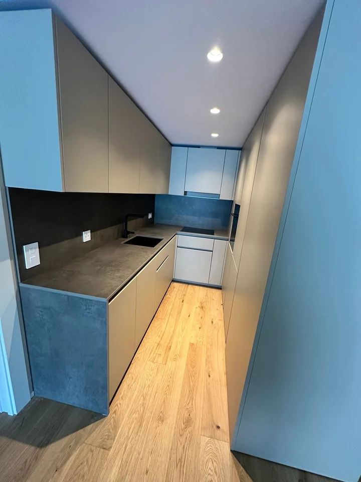 Magnificent apartment directly on Lake Lugano – foto 8 di 9