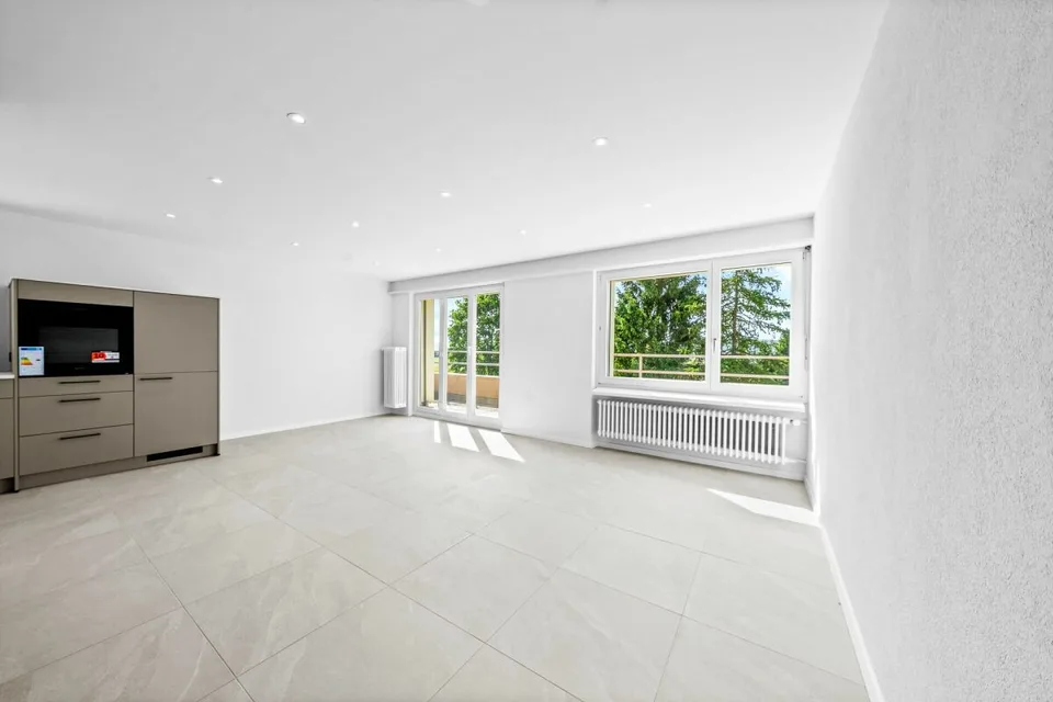 Vollständig sanierte 4.5-Zimmer-Attikawohnung mit grosser Terrasse und Weitsicht!