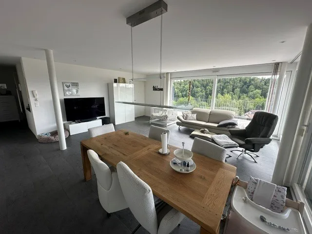 Traumhafte Attika-Wohnung in Döttingen