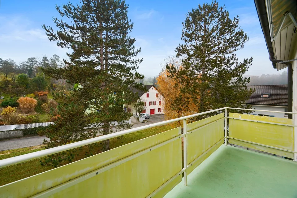 Wohnung mit 4.5 Zimmern komplett renoviert in einer grünen Umgebung ohne direkte Nachbarschaft – Foto 10 von 17