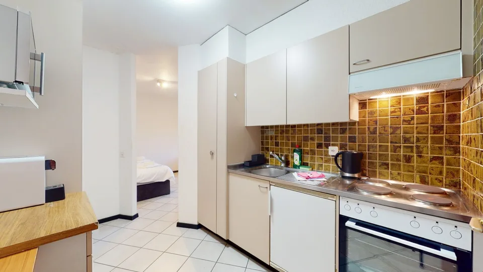 Spacious studio in a lovely neighborhood in Sierre
