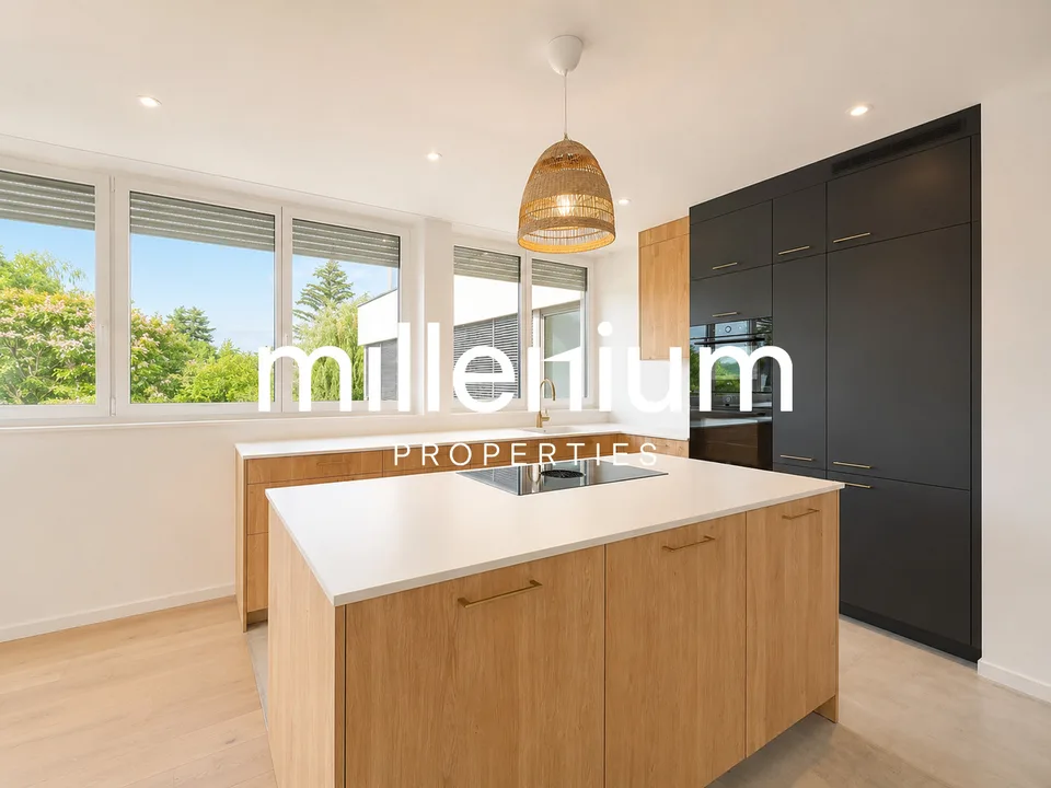 High-standard apartment with large terrace in Troinex