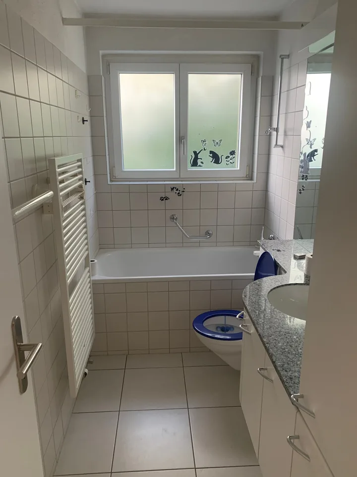 PER 01.  AUGUST 2026 SUPER NEU RENOVIERTE 3.5- WOHNUNG ZU VERMIETEN AN EINZELPERSON ODER PAAR