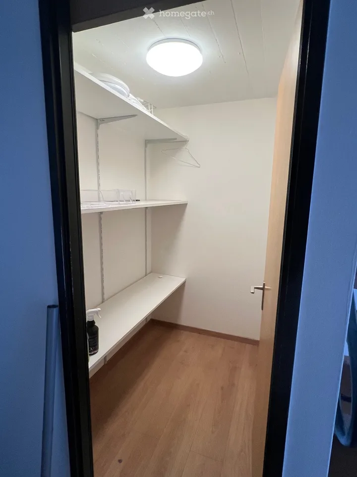 Zwischenmieter für 3.5-Zimmer-Duplex-Wohnung in Mezzovico gesucht