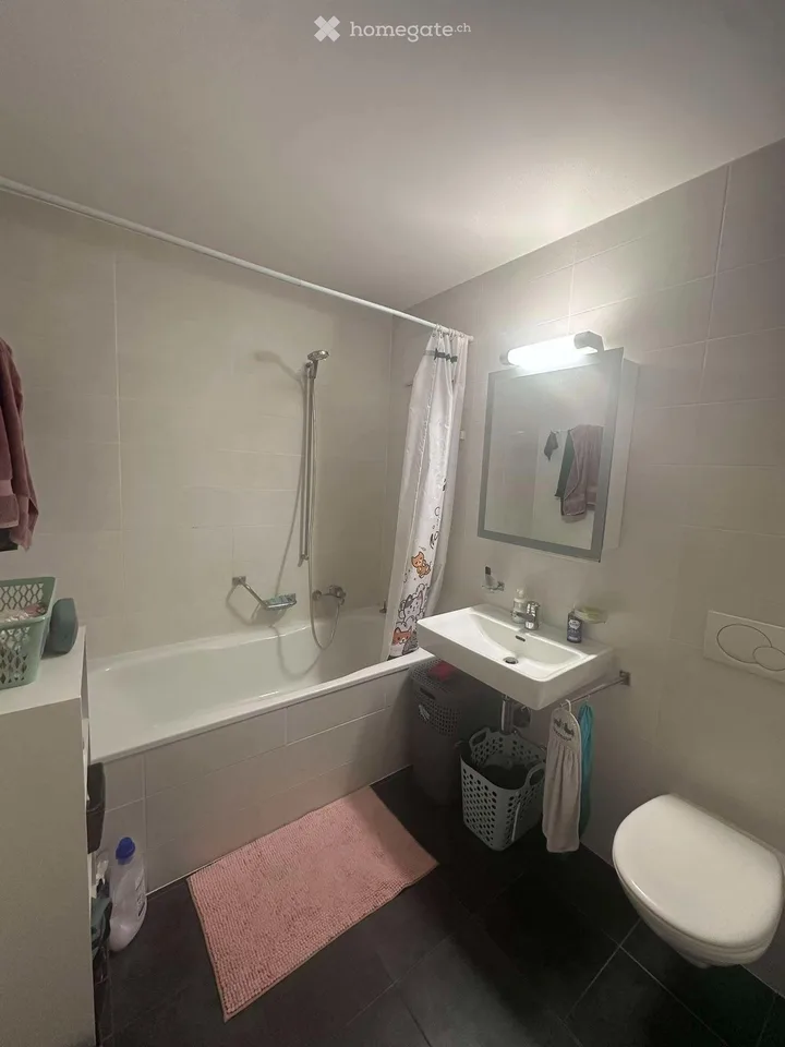 Übernahme Mietvertrag 3.5 Zimmer in Saxon