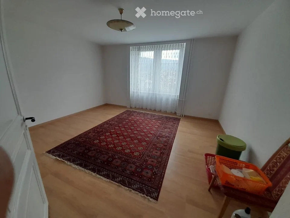 Appartement 3 pièces lumineux, garage et grand jardin inclus