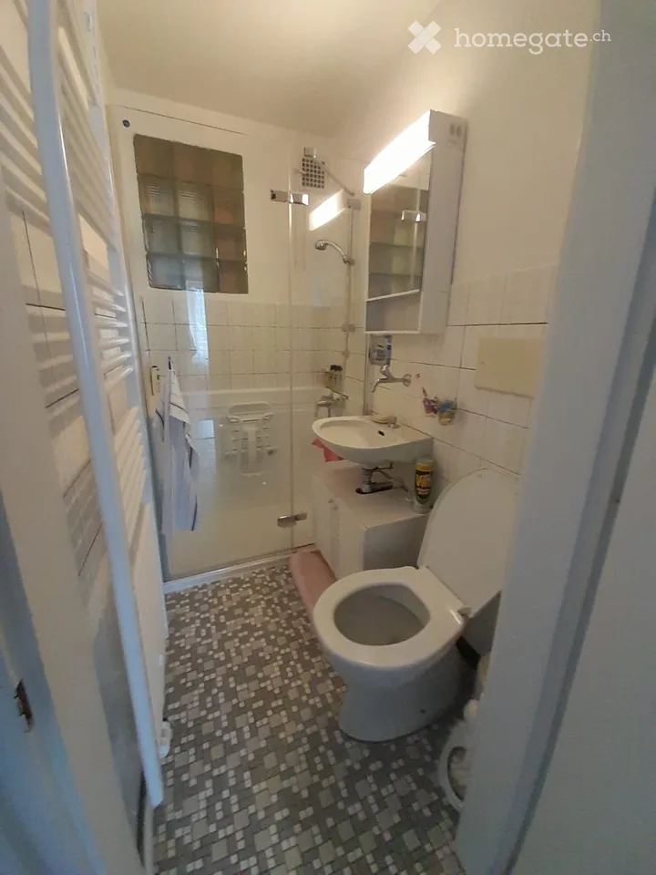 Appartement 3 pièces lumineux, garage et grand jardin inclus