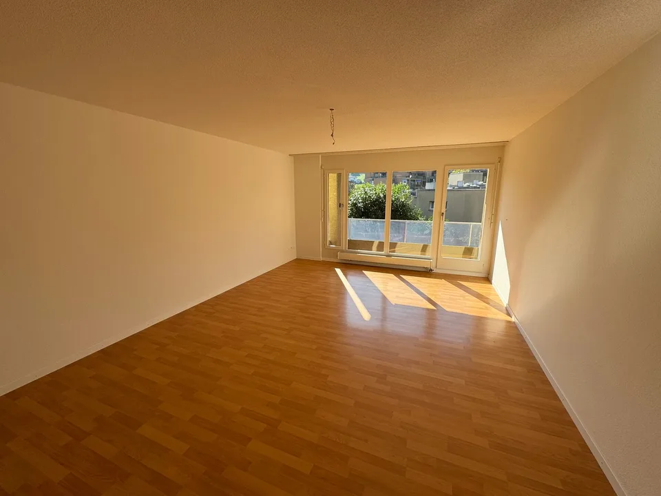 Affascinante appartamento monostanza con balcone a Olten