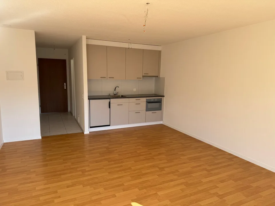 Affascinante appartamento monostanza con balcone a Olten