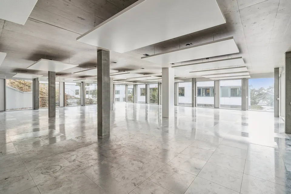 Bureaux de prestige à louer - avenue de Rhodanie à Lausanne - 280m2 lumineux
