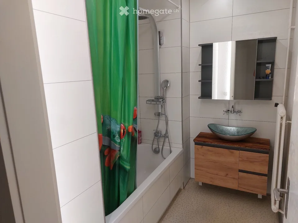 1 WG Zimmer 22'2m im grünen Adliswil mit Balkon per sofort