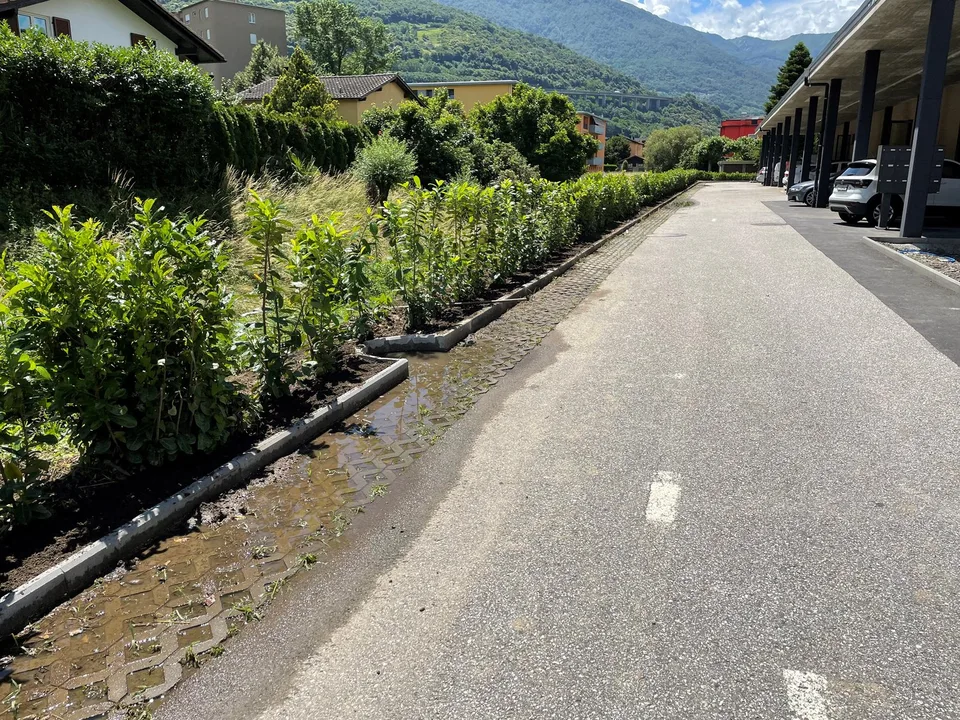 Ultimo spazio commerciale al 2° piano – foto 11 di 15