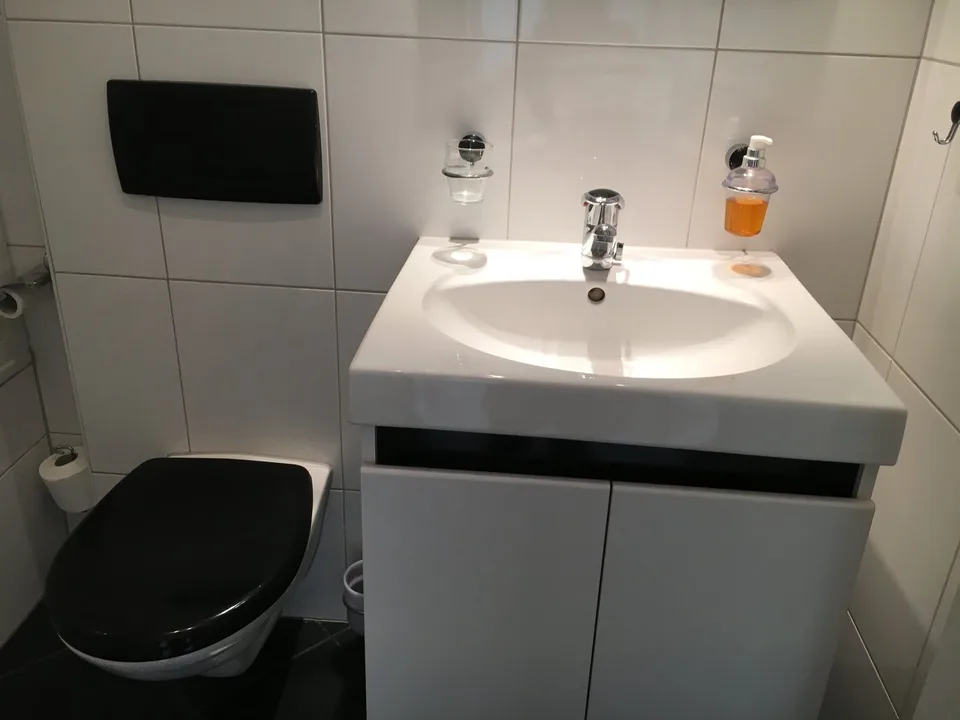 Möblierte 2.5-Zimmer- Wohnung - Balkon, eigene Waschraum, Lift - in Buchs Zürich