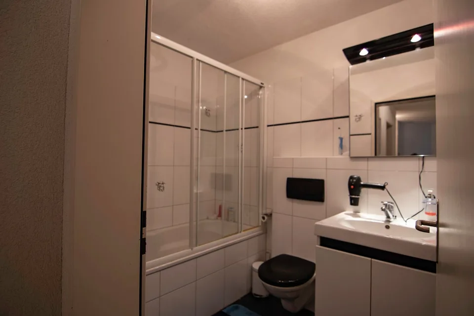 Möblierte 2.5-Zimmer- Wohnung - Balkon, eigene Waschraum, Lift - in Buchs Zürich