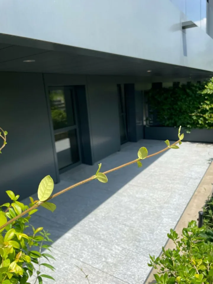 Moderne Einzimmerwohnung mit Balkon in Lugano-Castagnola zu vermieten
