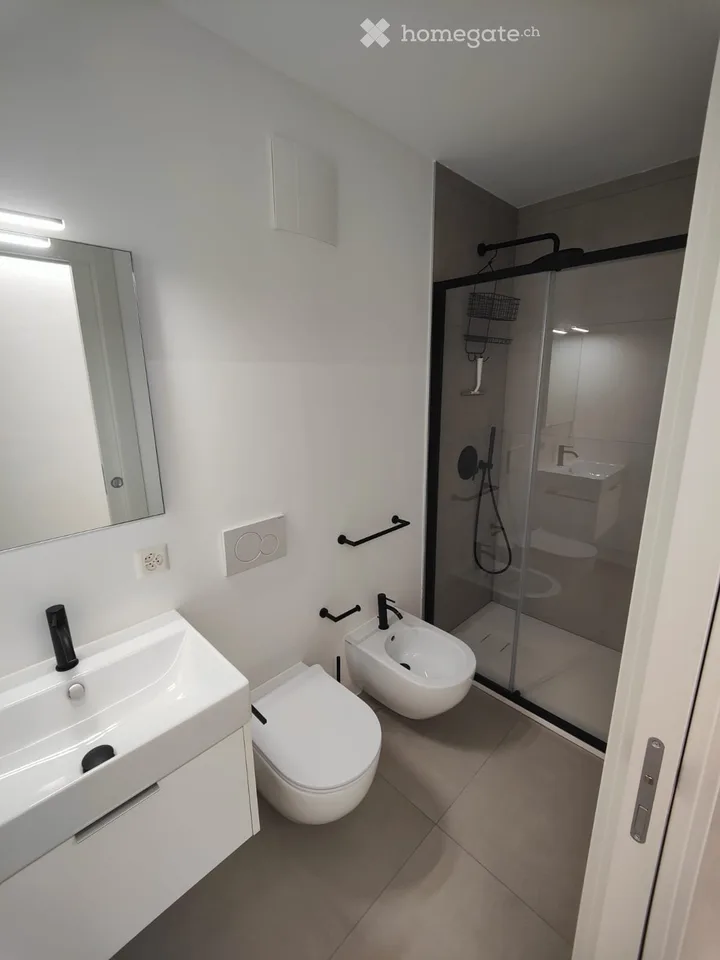 Accogliente appartamento ammobiliato di 3,5 con terrazzo