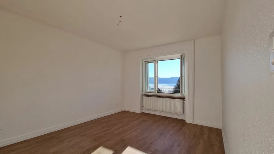 Appartamento di 3 locali completamente ristrutturato e luminoso
