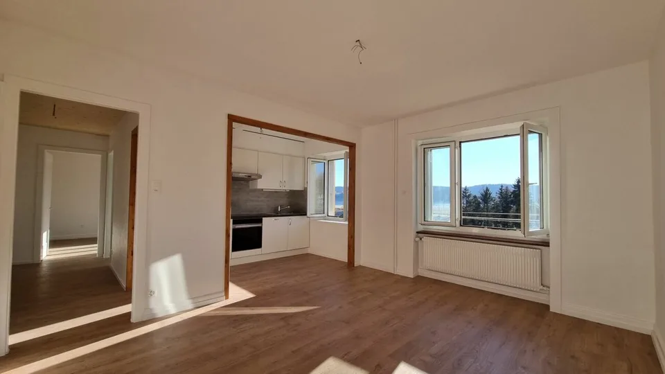 Appartamento di 3 locali completamente ristrutturato e luminoso