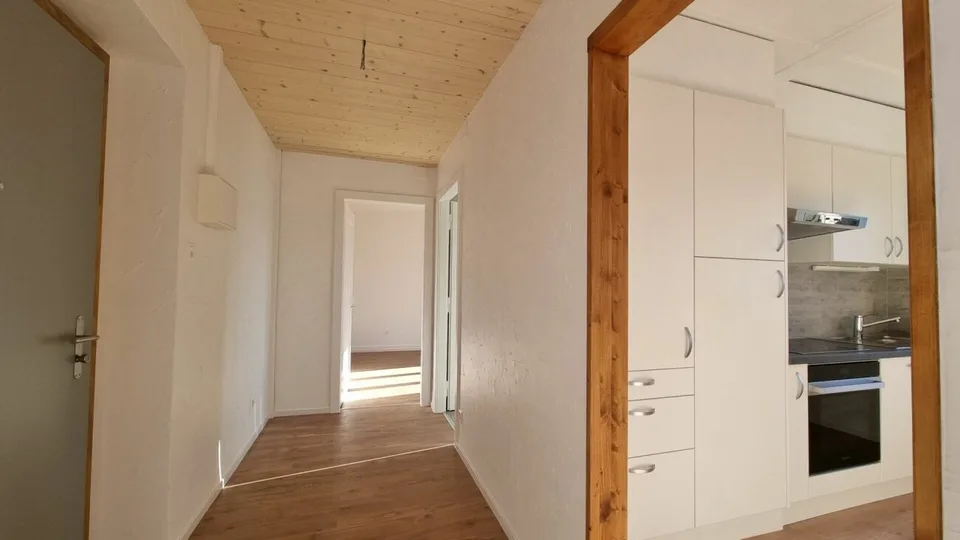 Appartamento di 3 locali completamente ristrutturato e luminoso