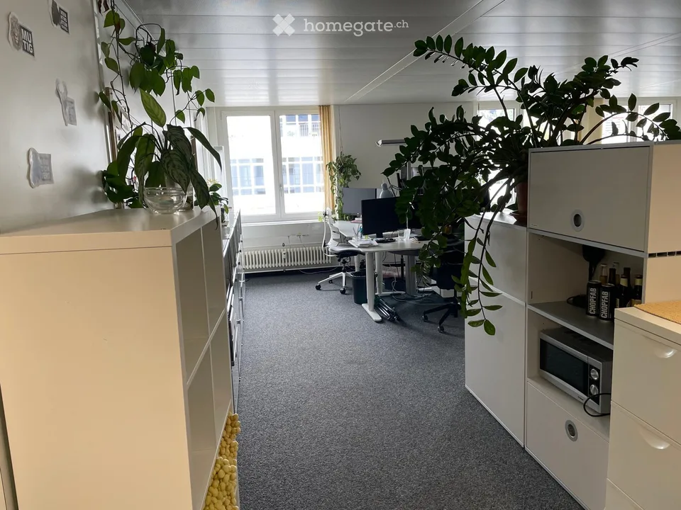 Spazio di ufficio aperto al 5° piano in Neugasse 10, Zurigo 8005 – disponibile per l'affitto da agosto 2026