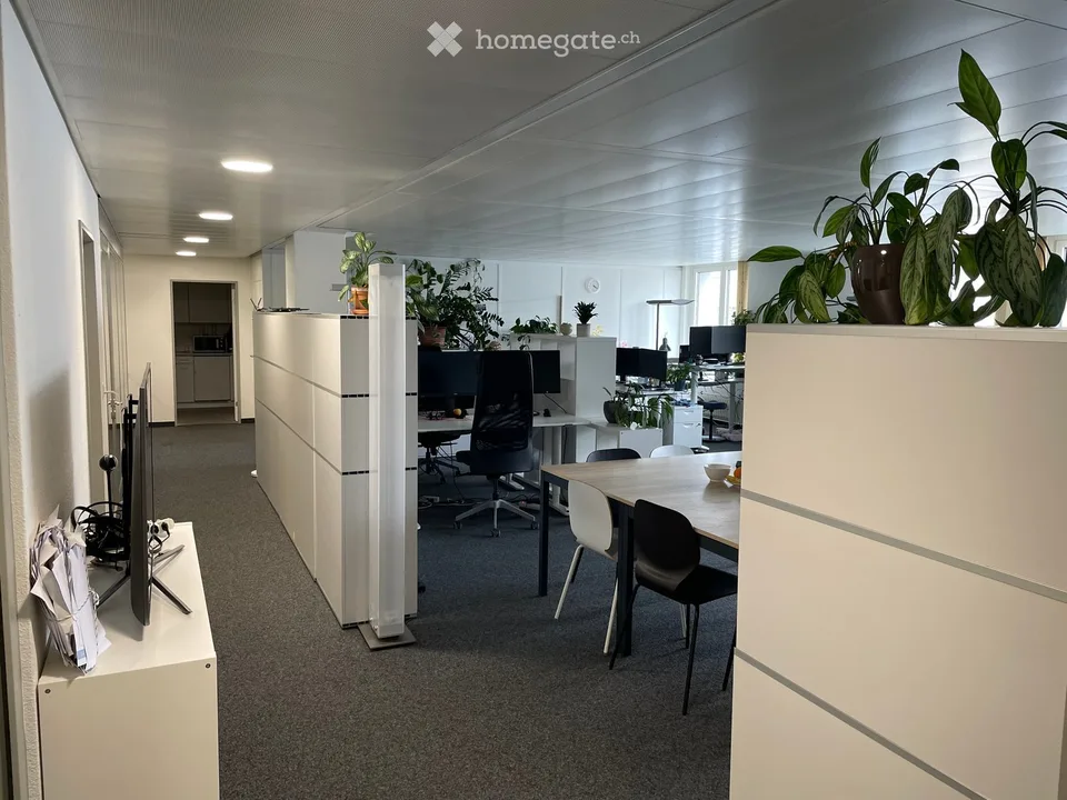 Offener Bürobereich im 5. OG an der Neugasse 10, Zürich 8005 – ab August 2026 zu vermieten