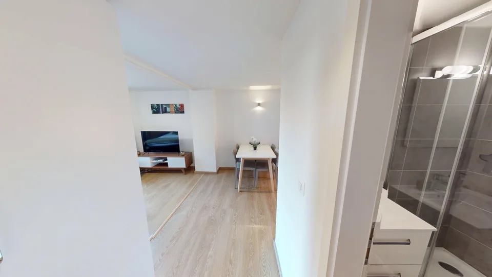 Rooftop Views & Central Location: 1-Bedroom Apartment in Lausanne – Foto 13 von 20