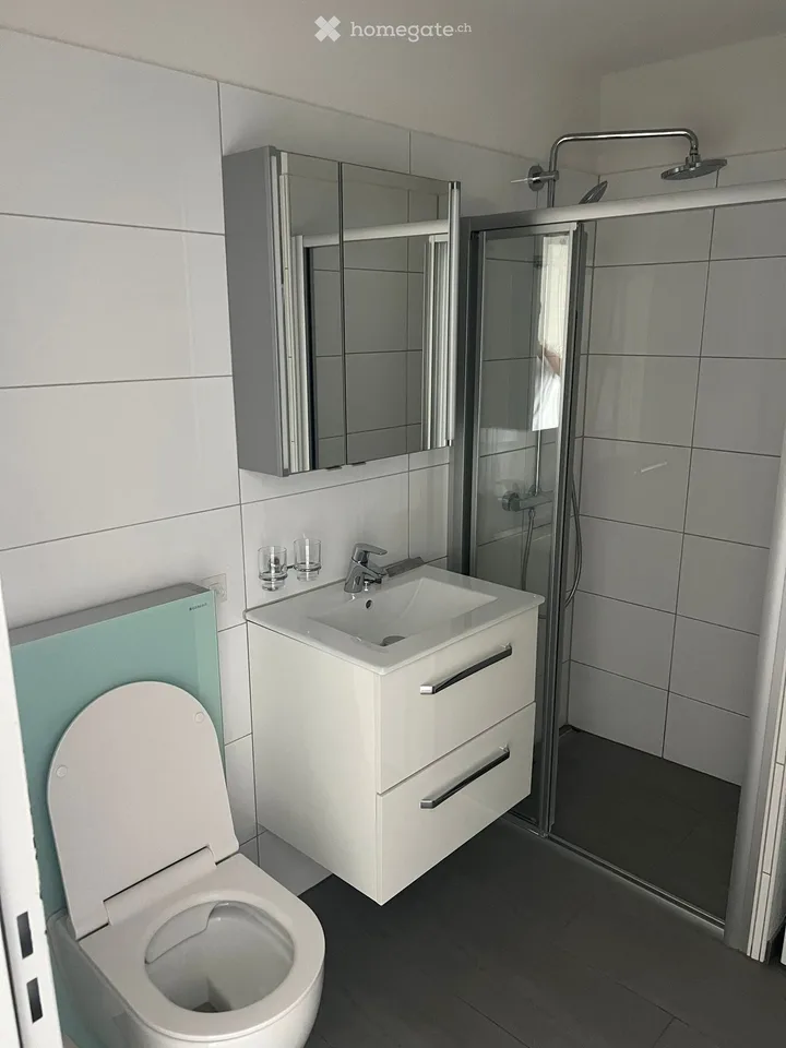Helle 3.5-Zimmer-Wohnung mit Balkon in Dottikon – ab August 2026 verfügbar