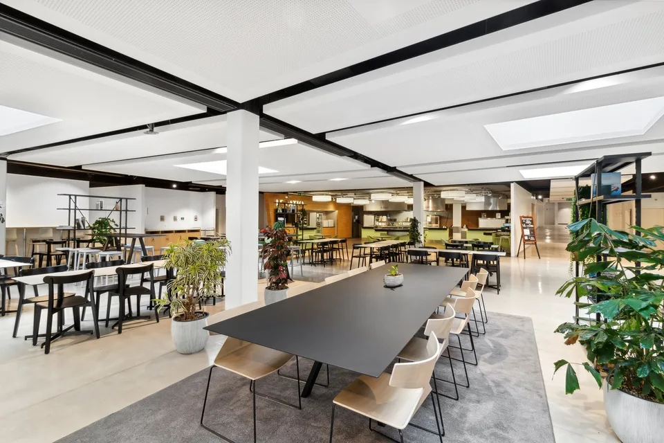 Büroflächen ab 536 m2 in Lausanne zu vermieten