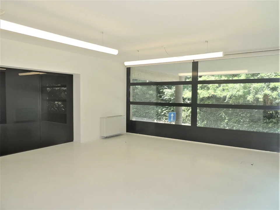 Großes Büro mit Garten in Sorengo