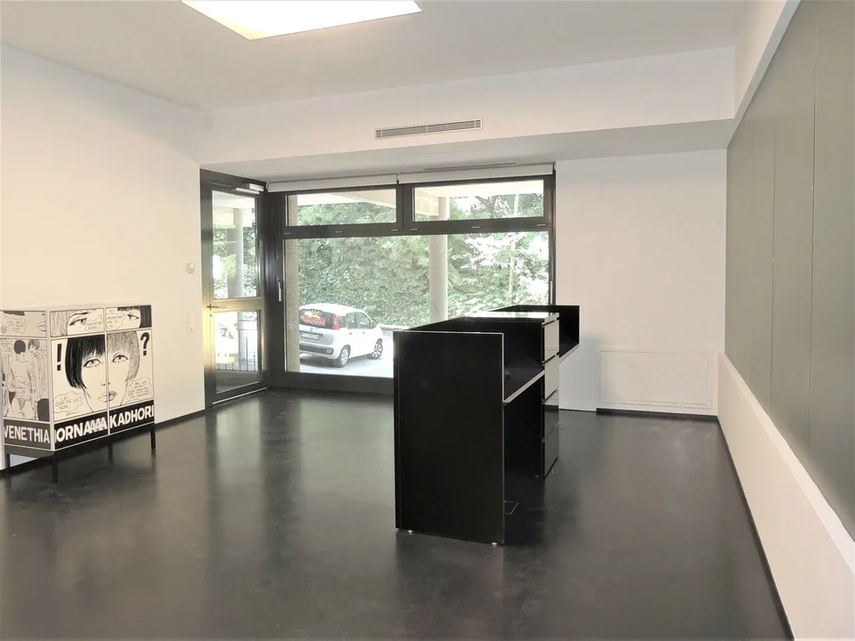 Großes Büro mit Garten in Sorengo
