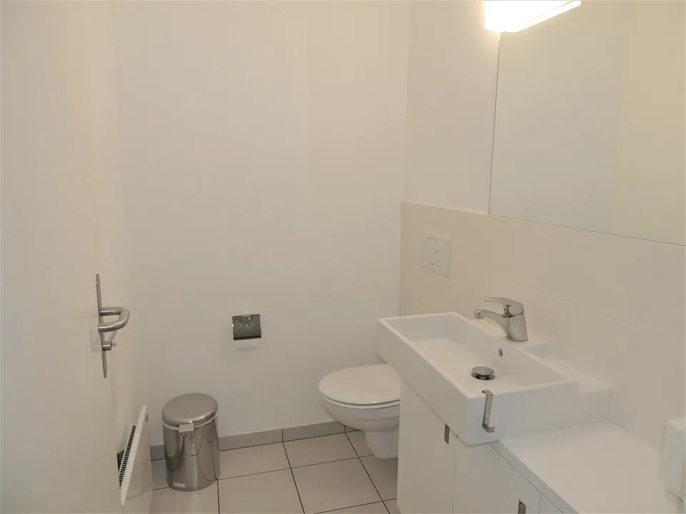 Großes Büro mit Garten in Sorengo – Foto 10 von 11