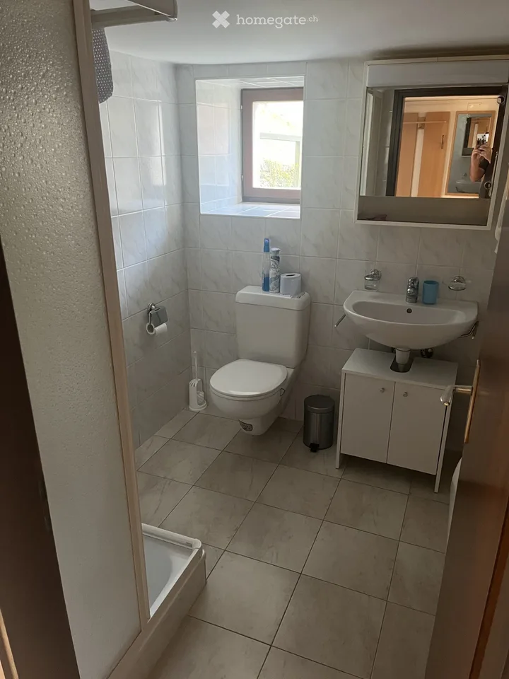 Location Appartement à Dalpe 2 pièces