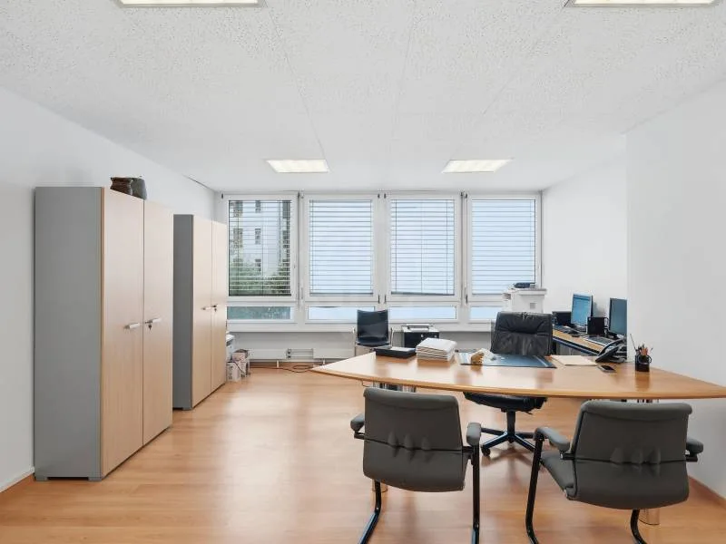 Spacious offices - Geneva