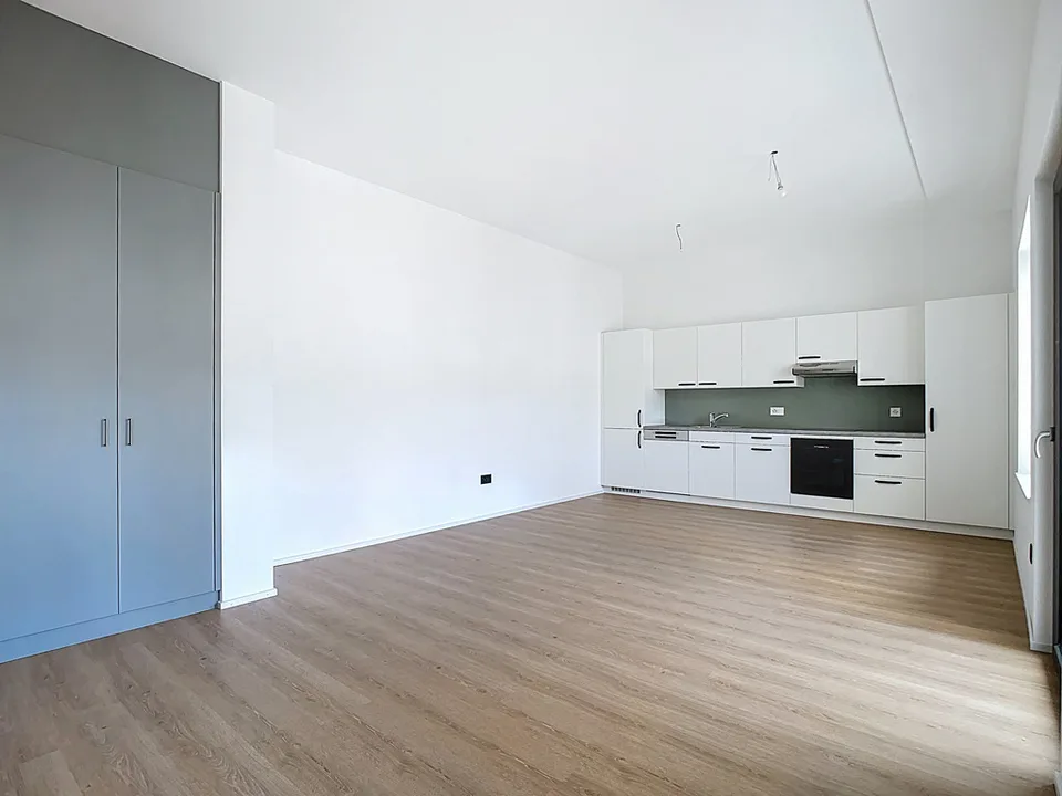 Appartamento con 2.5 locali e balcone