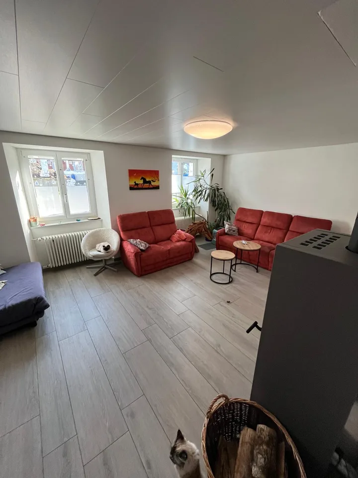 Maison famililae de 7 pièces à Châtillon – photo 12 sur 30