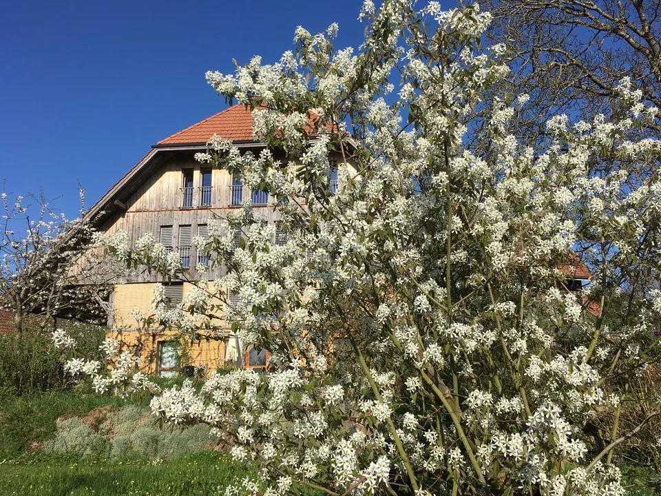 ***Grandios!***228 m2!***Stalderhof Seeberg  ***105 m2 Wohn/Esszimmer!***