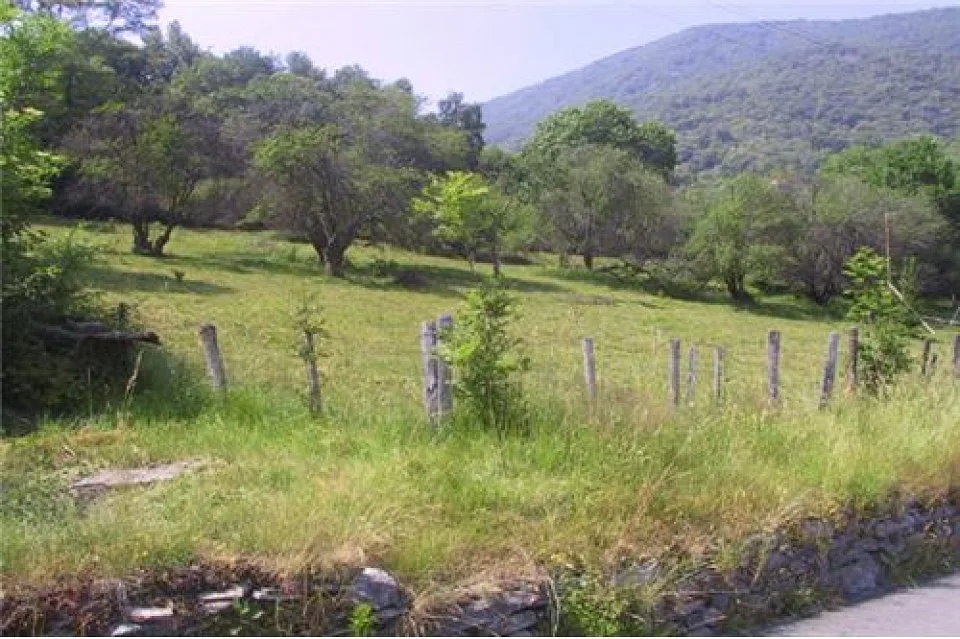 Terreno edificabile in mezzo alla natura