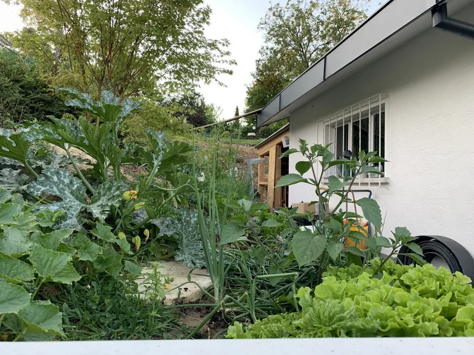 Zu verkaufen: Villa mit Panoramablick auf den Höhen von Hégenheim – photo 11 sur 29